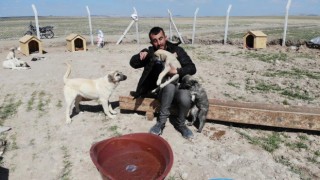 Köpekleriyle Köyünden Kovulan Engelli Genç, Kendini “Canlar”Ina Adadı