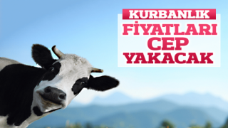 Kurban Fiyatları Cep Yakacak