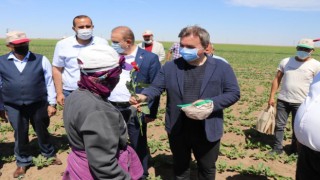 Vali Traktörle Tarlayı Sürüp Çapa Yaptı, Kadın Çiftçilere Gül Verdi