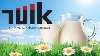 TÜİK “Süt Üretimi Arttı”