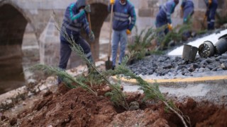 Kalanlar’da Peyzaj Çalışmaları Başladı