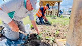 Aromatik Bitkilerle Parklar Mis Gibi Kokacak