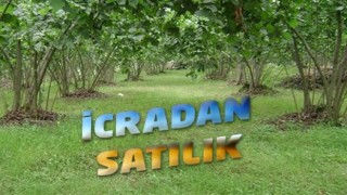 İcradan Satılık Bahçe