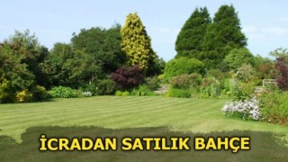 Tokat Merkez'de İcradan Satılık 1.440 m² Bahçe (Çoklu Satış)