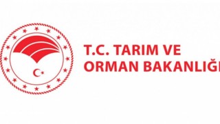 İzmir İl Tarım ve Orman Müdürlüğü Sözleşmeli Personel Alıyor