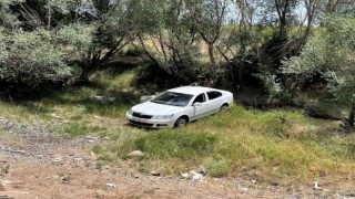 Sürücüsünü Arı Sokan Otomobilin Şarampole Girmesi Sonucu 4 Kişi Yaralandı