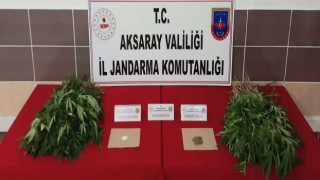 2 Zehir Taciri Daha Yakalandı
