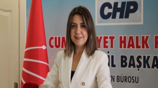 Özdemir “İktidar Özgürlüğün Altına Dinamit Koydu”