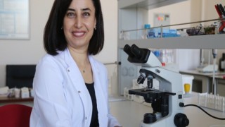 Deniz Yosunlarının Gıdalarda Kullanım Potansiyeli Araştırılıyor