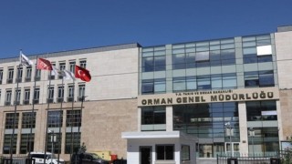 Orman Genel Müdürlüğü 224 Daimi İşçi Alacak