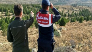 Ekecik’in Yaban Koyunları Korunuyor