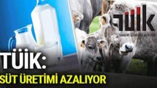 TÜİK “Süt Üretimi Azalıyor”