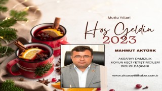 Yılbaşı Kutlama İlanlar