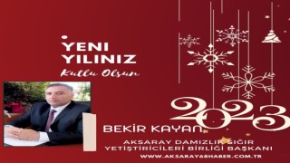 Yılbaşı Kutlama İlanlar