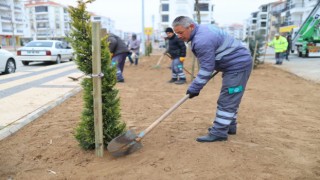 Yeşil Aksaray İçin Seferberlik