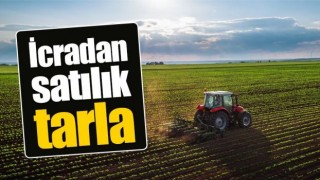 İcradan Satılık Tarla