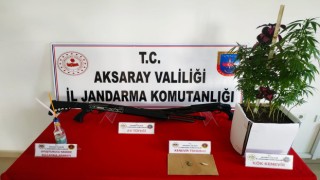 Jandarmanın Zehir Mücadelesi Sürüyor