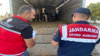 Kurban Hareketi Nedeniyle Jandarma Ekipleri Teyakkuzda