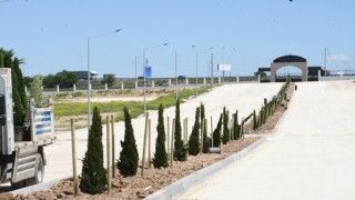 Yeni Şehir Mezarlığı ve Külliyesinde Ağaçlandırma Ve Peyzaj Çalışmaları Başladı