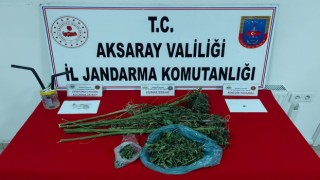 Jandarma Uyuşturucu Savaşını Sürdürüyor