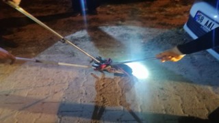 Araç Motorundan Çıkartılan Yılan Doğaya Salındı
