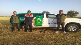Avcı Düzenekleri Jandarmanın Merceğine Takıldı