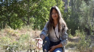Ihlara Vadisi'ndeki bitki ve hayvan türleri kayıt altına alınıyor