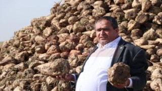 Koçak “Pancarda Ton Başına 3 Bin Lira İstiyoruz”