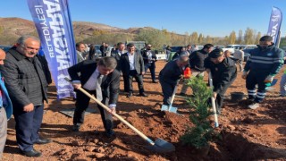 Fidanlar Öğretmenlerin Anısına Toprakla Buluştu