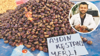Kestanenin Bilinmeyenlerini Diyetisyen Sinav Açıkladı