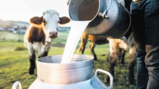 Süt Üreticisi Soruyor “Bu Nasıl Adalet ?”