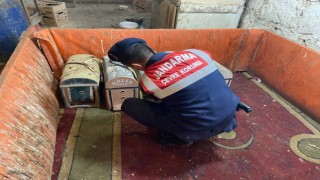 Horoz Dövüştüren 7 Kişiye 95 Bin Lira Ceza