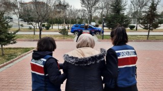 Jandarma Ekipleri 1 PKK’lıyı Aksaray’da Yakaladı
