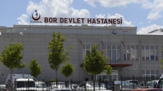 Niğde'de Devrilen Otomobilin Sürücüsü Öldü