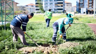 Hedef “Yeşil Aksaray ”Park ve Bahçelerde Çalışmalar Başladı