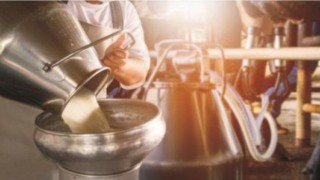 Artan Süt Üretimi Yalnızca Fabrika Sahiplerini Güldürüyor