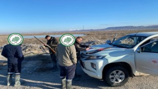 Av Koruma Faaliyetleri Devam Ediyor