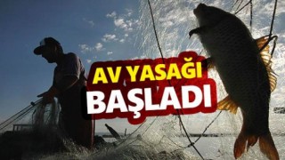 Av Yasağı Başladı