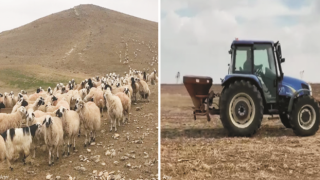 Besicilerden Yetkililere Çağrı “Mera Tecavüzlerine Göz Yumulmasın”