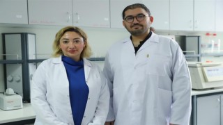 Kırsaldan laboratuvara, cüce yarasalarda genetik keşif