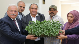 Ziraat Odası’nda Fide Satışları Sürüyor