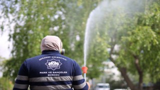 Aksaray Belediyesi’nden Haşere Ve Sineklere Karşı Etkin Mücadele