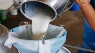 “Darısı Diğerlerinin Başına”