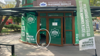 Çölyak Hastaları İçin Açılan Büfeye Saldırıp Soydular