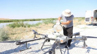 Drone Destekli İlaçlamalar Sürüyor