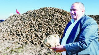 Pancar’da Beklenti 3 Bin 500 TL