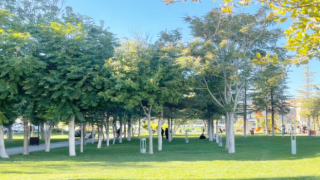 Parklarda Güvenlik Endişesi Artıyor