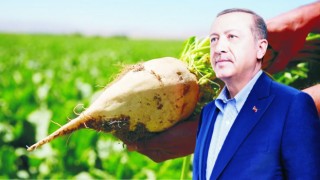 Pancar Alım Fiyatı Değişti