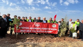 11 Bin Fidan Toprakla Buluştu