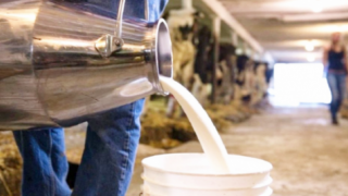 Süt Pazarı Küçülüyor